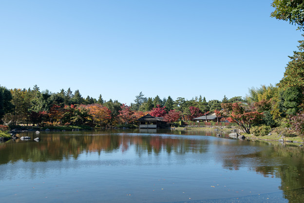 05昭和記念公園【日本庭園：清池軒付近の紅葉】1