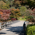 Photos: 20昭和記念公園【日本庭園：橋付近の紅葉】1