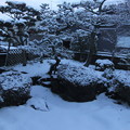1月18日の庭の雪