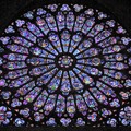 ノートルダム大聖堂 (パリ)