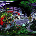 クリスマスツリーとイルミネーション、紺屋町商店街　360度パノラマ写真