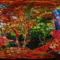 駿府城公園　紅葉山庭園 紅葉 360度パノラマ写真　HDR