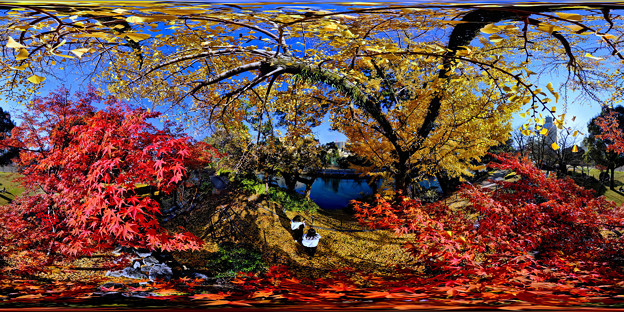 Photos: 駿府城公園　二葉葵の小径　紅葉 360度パノラマ写真(3)