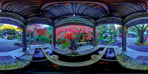 洞慶院 手水鉢と紅葉　360度パノラマ写真