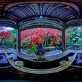 洞慶院 手水鉢と紅葉　360度パノラマ写真