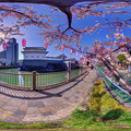 駿府城　二ノ丸堀巽櫓前　桜　360度パノラマ写真(2)