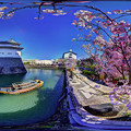 駿府城二ノ丸堀、桜 360度パノラマ写真(1)