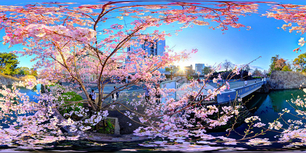 駿府城二ノ丸堀、桜 360度パノラマ写真(2)