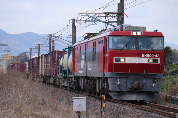 Photos: 常磐線　2095レ　EH500-43牽引　2021.04.03
