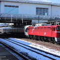 常磐線　EF81 80+E26系客車カシオペア　9011レ　カシオペア紀行 仙台 行　2022.02.11
