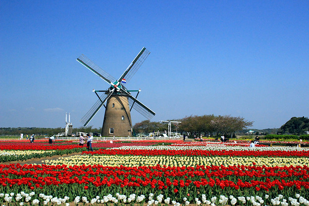 Trip To Netherlands