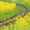 Photos: 春の鉄路