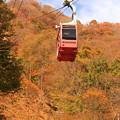 Photos: 秋山へのガイド