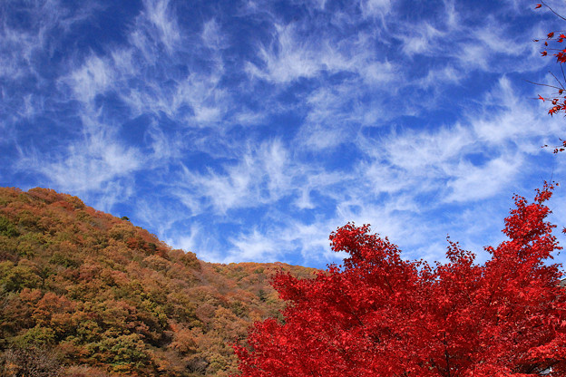 Photos: 秋の天と地