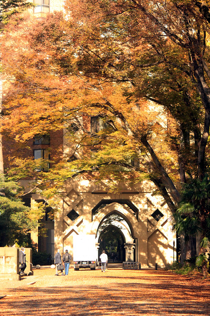 秋色キャンパス