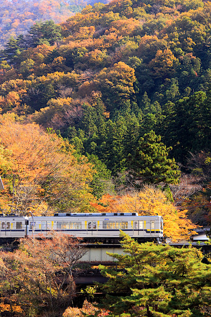 Photos: Autumn Tobu