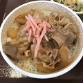 Photos: 豚丼