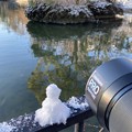 Photos: 雪だるま　　　　大阪／吹田千里