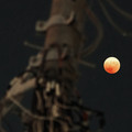 Photos: 電柱越しの赤い月