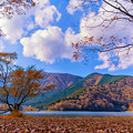 秋が降り積もる湖畔