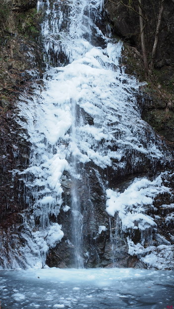 Photos: 氷結！払沢の滝０２