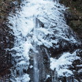 Photos: 氷結！払沢の滝０２