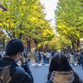 Photos: 北大キャンパス in late fall **