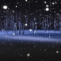 Photos: 雪舞う夜に...