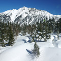 Photos: 冬の山々
