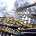 Photos: 懐かしい秋刀魚焼