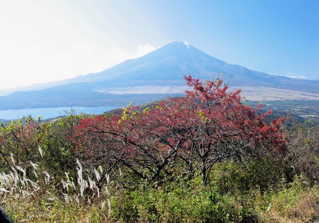 Photos: 秋の富士山