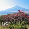 Photos: 秋の富士山
