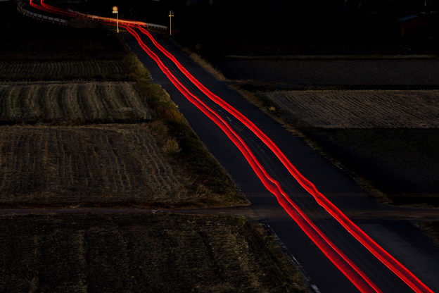 red Light Trail