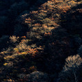 Photos: 榛名山周辺の秋3