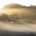 朝霧の景色３
