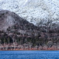 Photos: 冬の湖畔