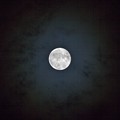 Photos: moon