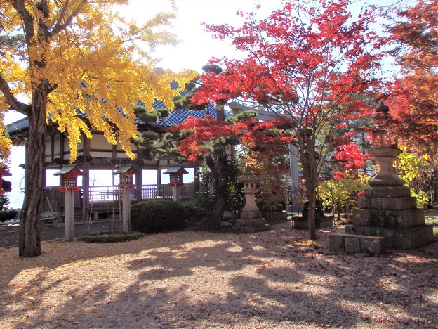 Photos: 神社の境内