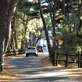 Photos: 松原公園車道
