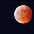 Photos: 赤いお月様が天王様を食べちゃうよ＾＾