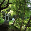 湯出神社の新緑