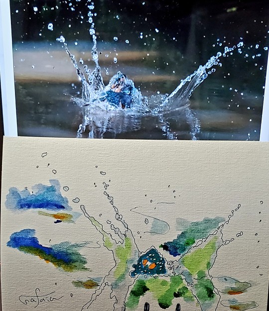 Photos: カワセミの描く水のアート