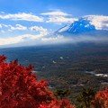 紅葉台展望台より望む富士山