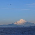 Photos: 金谷港より望む富士　その２