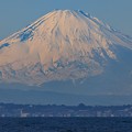 Photos: 金谷港より望む富士　その３