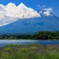 ラベンダーと富士山　その１