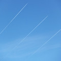 ３本の飛行機雲