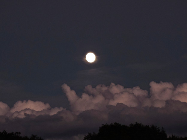 雲が見上げているような十三夜の月
