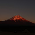 Photos: 紅富士