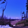 Photos: 丘の上から利尻富士を望む